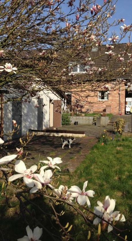 Ferienwohnung Mit Garten In Koeln Exterior foto