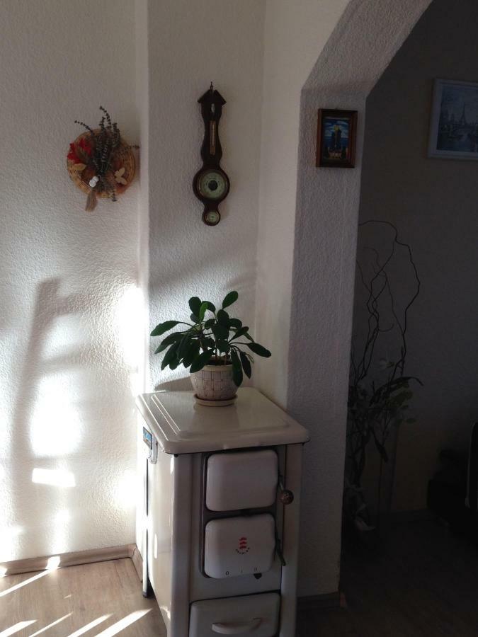 Ferienwohnung Mit Garten In Koeln Exterior foto